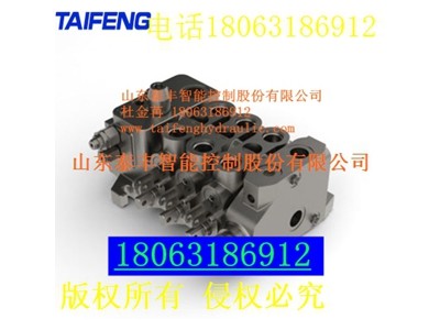 供应泰丰液压挖掘机专用阀组1-10联阀TRM15系列