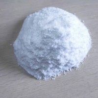 磷酸肌酸二钠盐的吸收机制