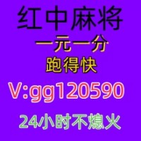 生龙活虎一元一分红中麻将跑得快火爆进行中