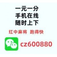 湖南都玩一元一分广东红中群2025最新