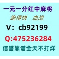 批示就绪广东一元一分红中麻将安全正规