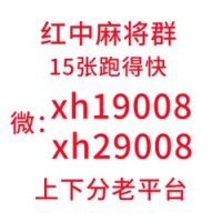 （花开花落）哪里有广东红中麻将一元一分群（来了解）