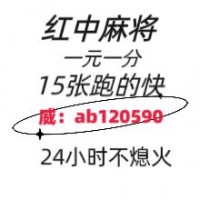 最火的五年老群24小时1-2块1分红中麻将微信群