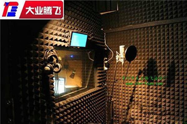 BD消音016