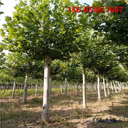 000d3560e3c8e4365fa1f27076e35a68_副本