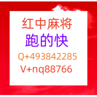 真人麻将群麻将一元一分群2024已更新