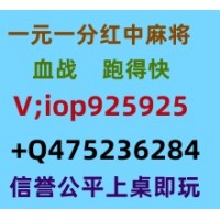 兴高采烈广东一元一分红中麻将固定更新升级