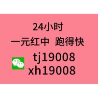 【专业】24小时上下分正规麻将群