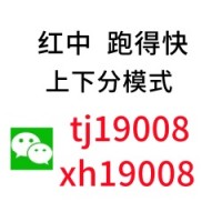 哪有手机红中一元一分麻将群【全新上线】