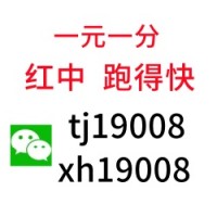 （希望）哪里有24小时一元麻将群（来了解）