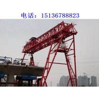 河北沧州龙门吊销售公司分享电动葫芦噪音处理方法