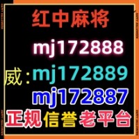 盲人摸象正规1元1分红中麻将群QQ公众号