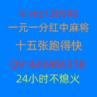 全国红中麻将微信群@2024已更