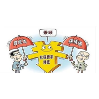 北海企业社保代缴管理，北海五险一金代买，北海本地社保代理公司